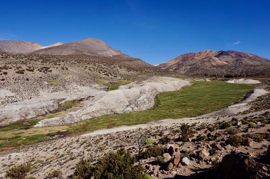 Western Altiplano Peatland Productivity
